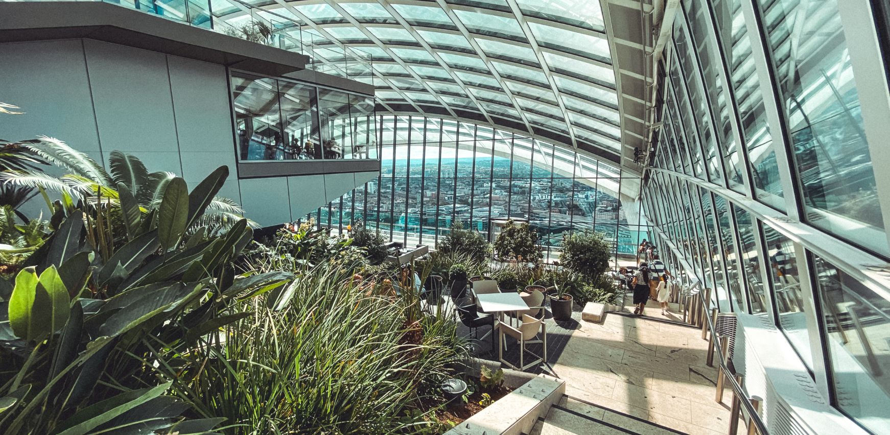 Zona de oficina con plantas y vegetación con luz natural